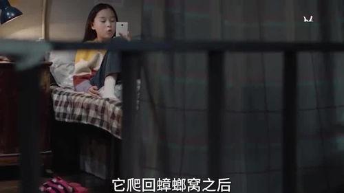 三姐爆料视频大全集,揭秘背后真相与精彩瞬间 第2张 三姐爆料视频大全集,揭秘背后真相与精彩瞬间 第2张