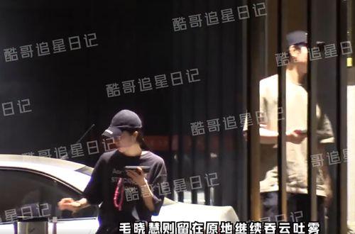 晓慧爆料视频大全集在线观看,揭秘幕后真相，带你走进事件核心